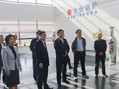 河南省政府副省长何金平同志莅临方快锅炉公司进行调研工作